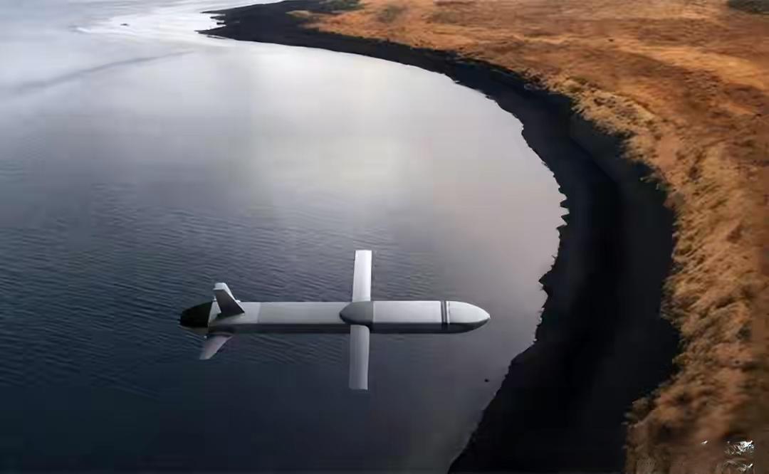 鲁塔 Block2导弹：瑞士宣称向乌军交付性能超 “口径” 的新型导弹。

西方