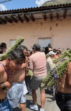 古有廉颇负荆请罪，今有老外负仙人掌干啥？