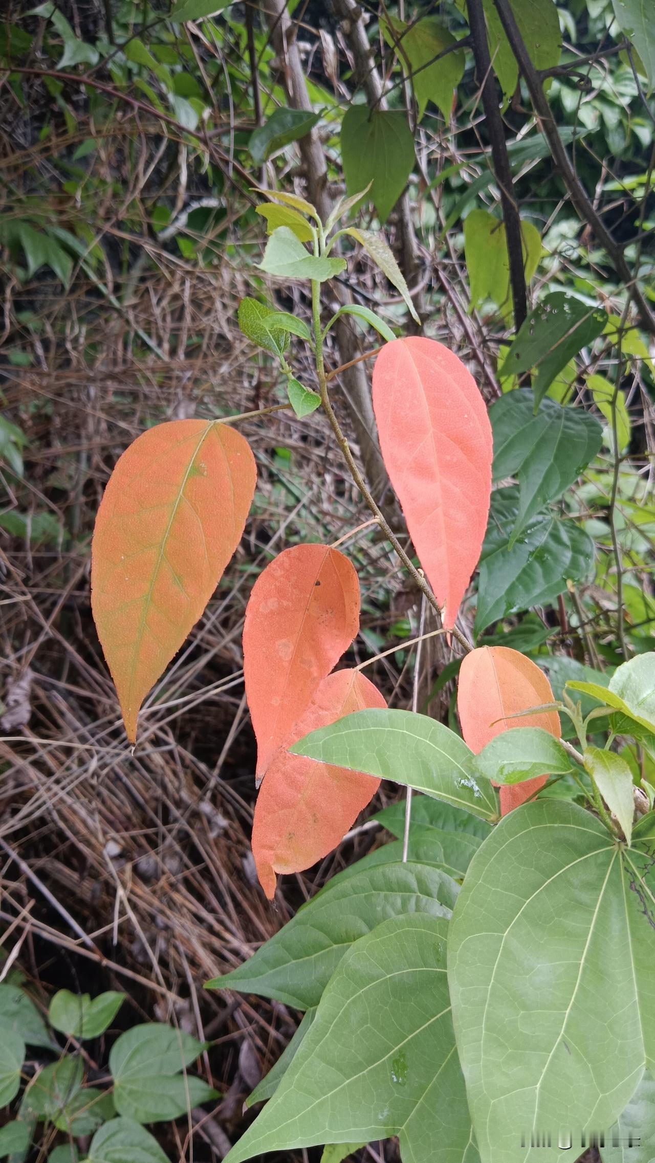 关于避免盲目施救，国家应急管理部门是有明确文件规定的，感兴趣的朋友可以学一学，不