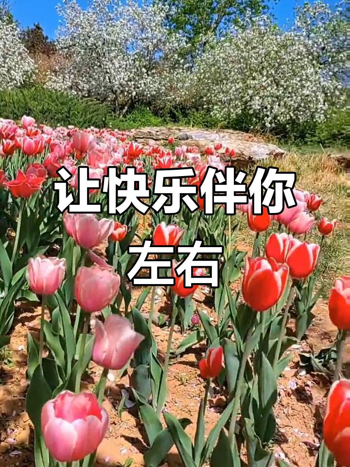 想保持快乐的心情，方法还真不少。心态上，得积极乐观，遇到困难别抱怨，把它当成提升