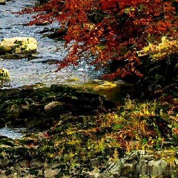 每日一善‎每日一善 ‎阳光‎信用 梦有多燃，就能飞得多远。时时有所创造、事事有所