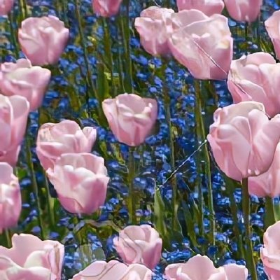 阳光信用 🌿阳光信用 🌿每日一善 尊重每一个生命，是善良最美的起点。一句鼓励