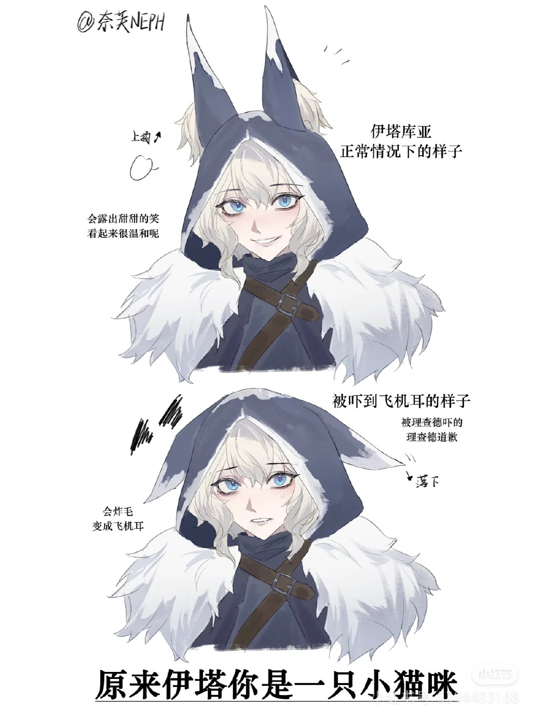 伊塔你是一只小猫 