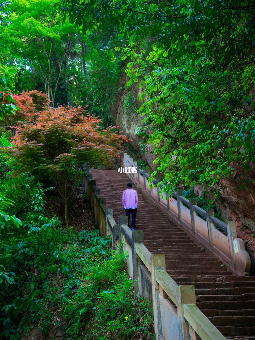 成都1.5h🍃萤火虫之乡竟藏着一个徒步秘境