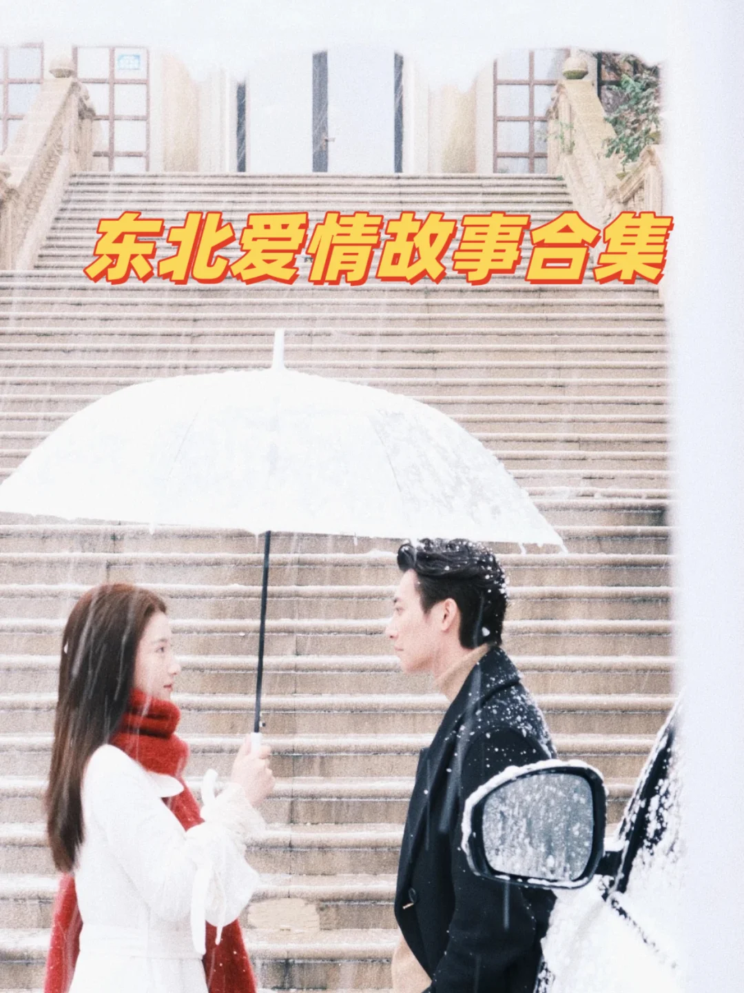 17本东北爱情故事合集，你的top是哪本？