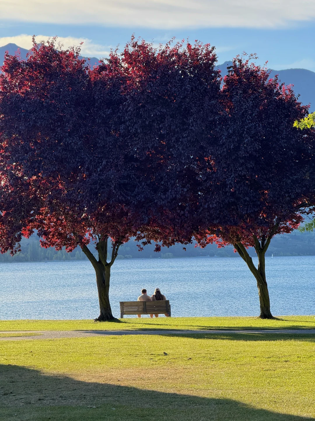 南半球的夏天🇳🇿每一张live都充满自由
