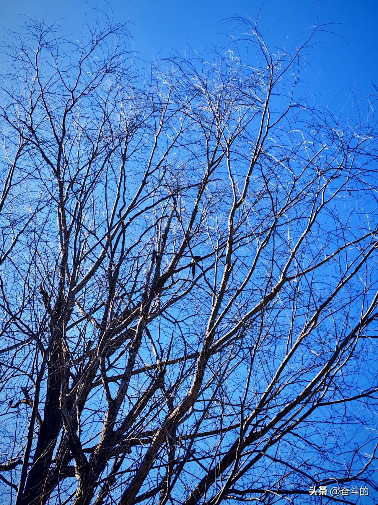 春日生活打卡季