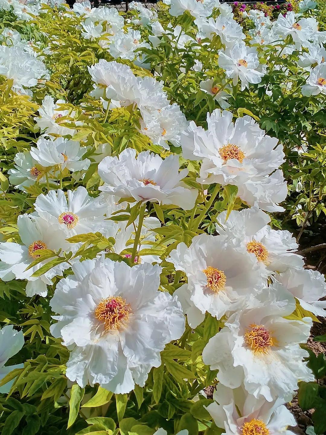 40岁以后才明白的事：

一、不要羡慕有钱人
二、烟灰缸不要倒水
三、旅游，不要