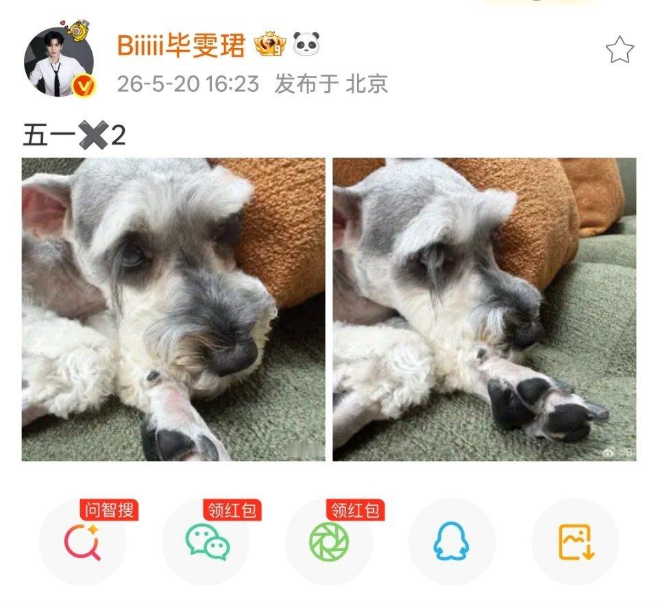 ×2=不是单身狗 