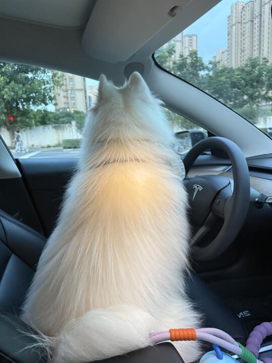 滴滴滴！有人上车吗！