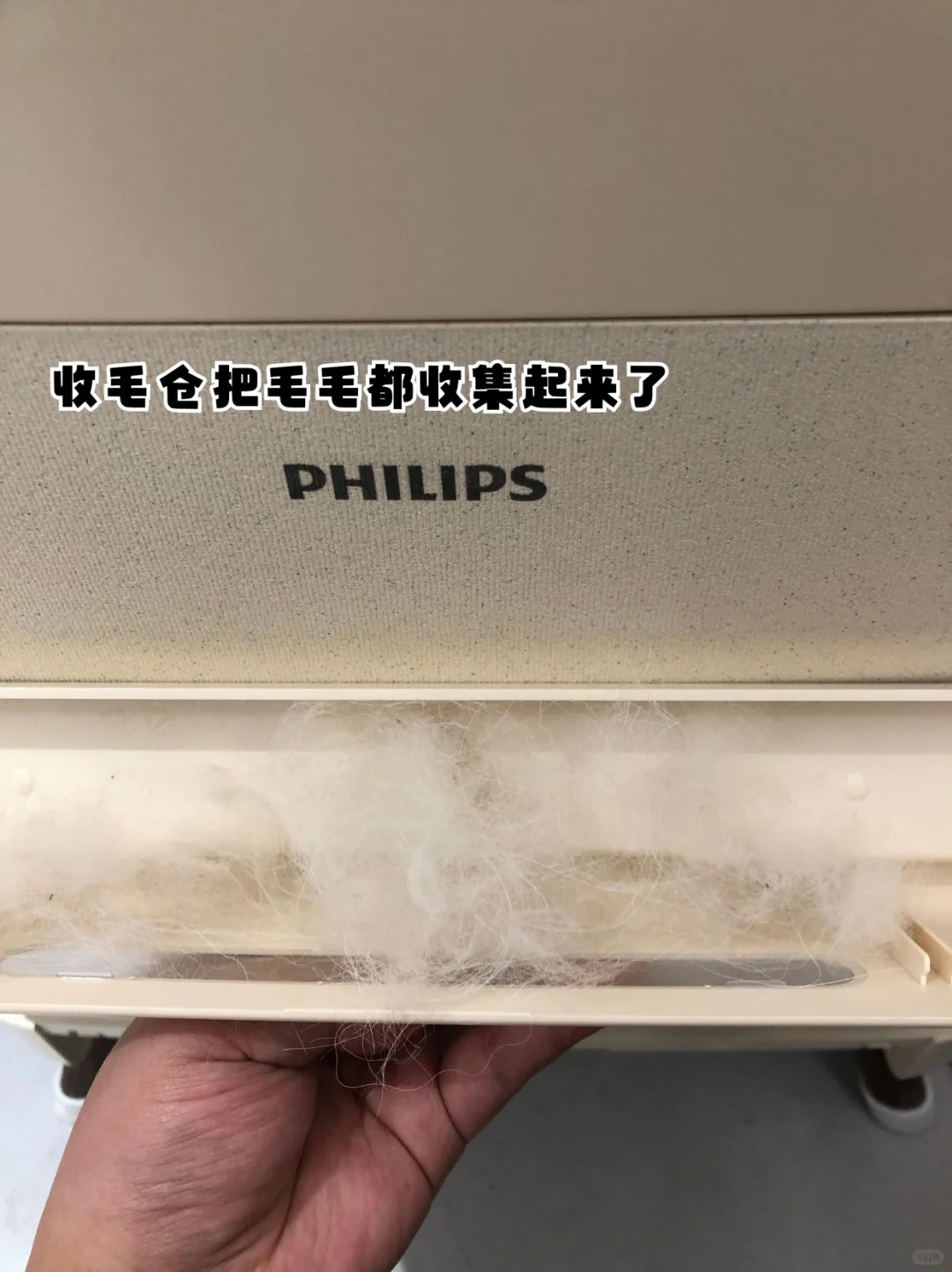 毛孩子家庭双十一真的都去冲这个！