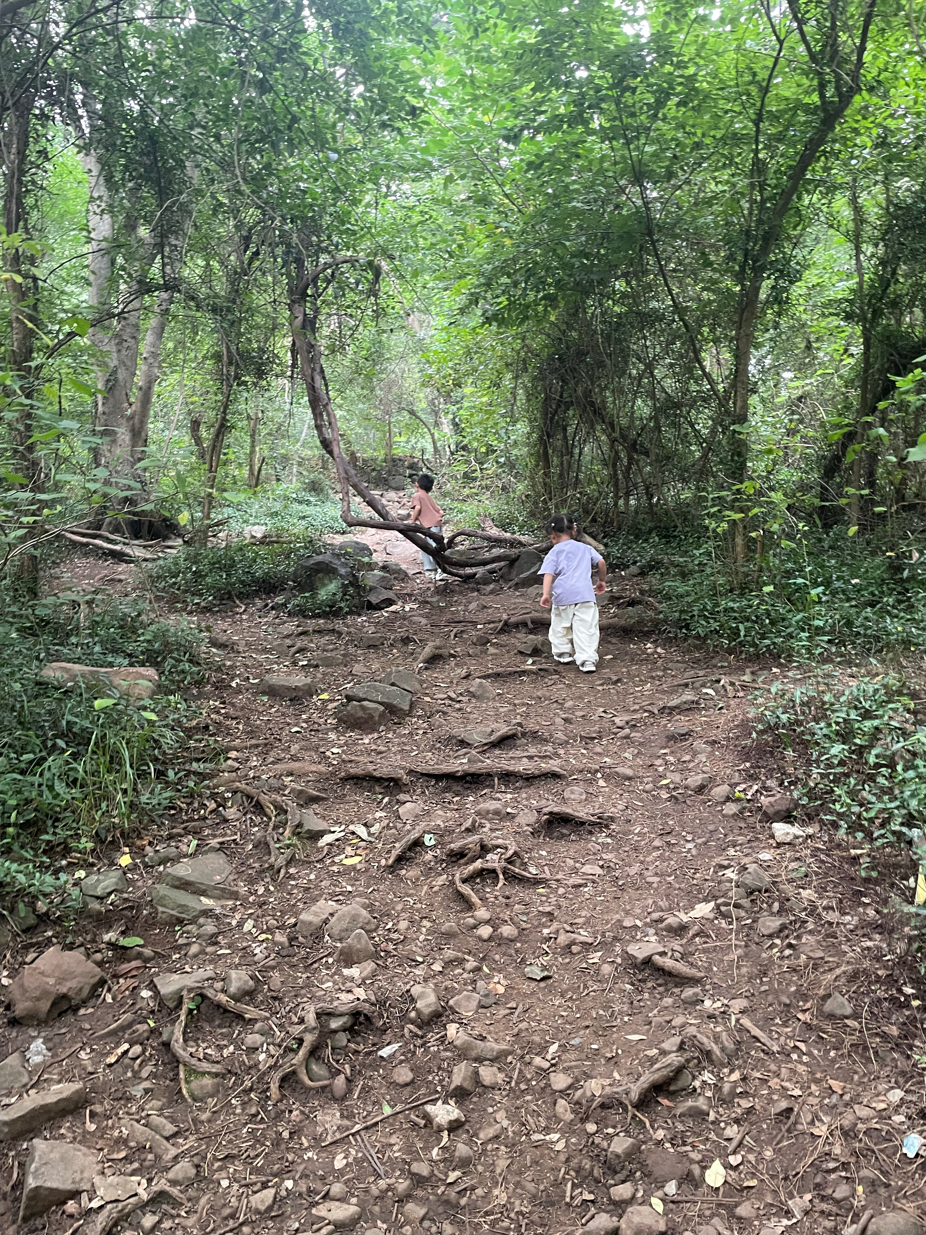 今天去爬山了还遇见一位从西安来合肥的宝妈，她一个人带宝宝来合肥旅游也是惊呆我了问