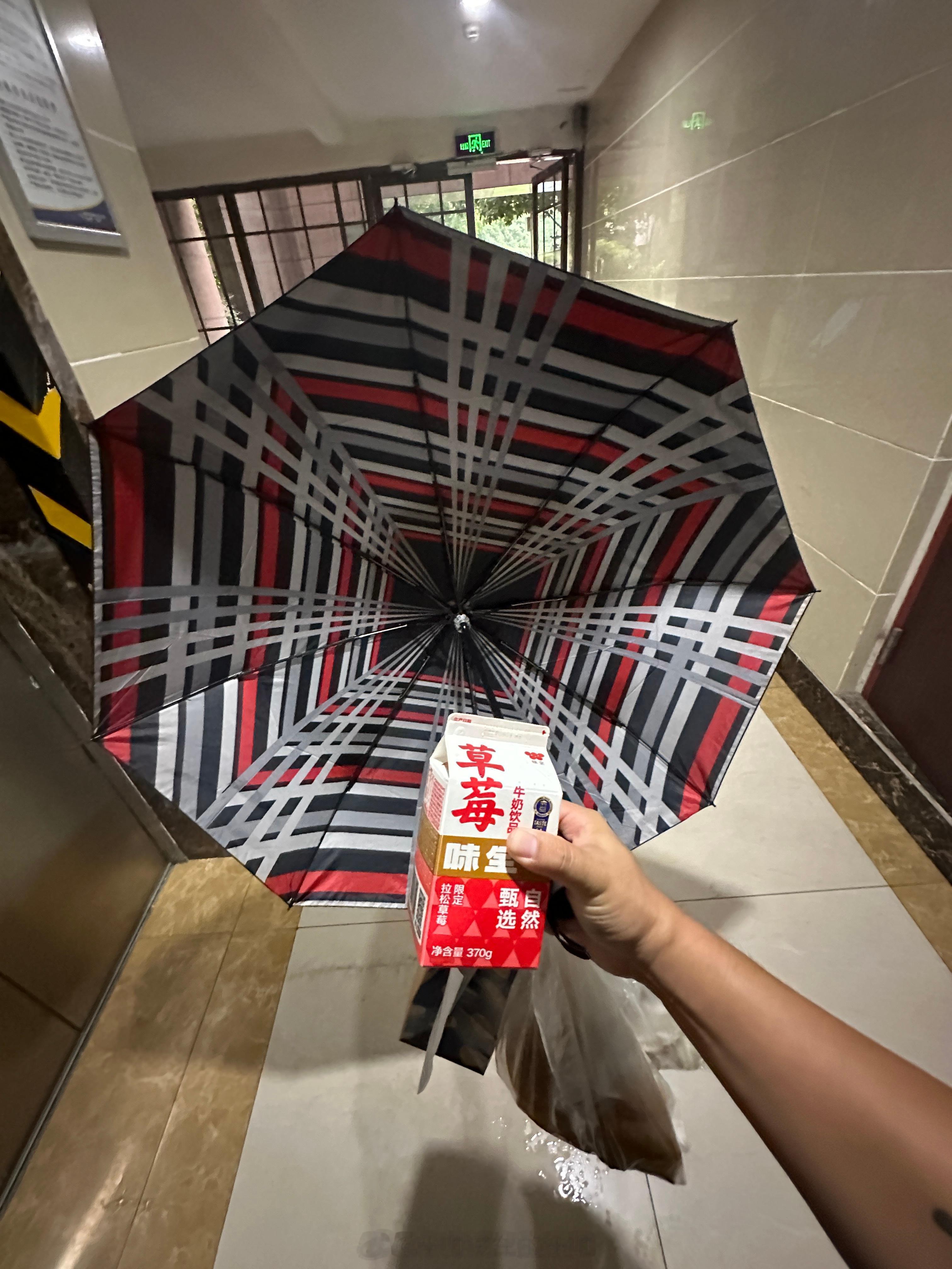 下雨天打这个伞，是有行走马力加成的[酷]#特斯拉# ​​​
