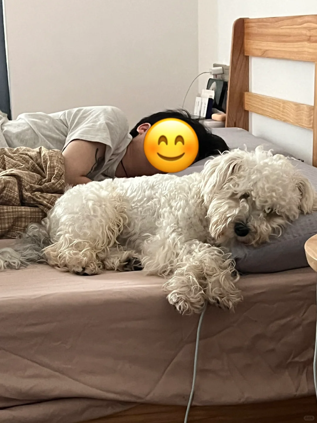 哥们儿 有点鸠占鹊巢了哈
