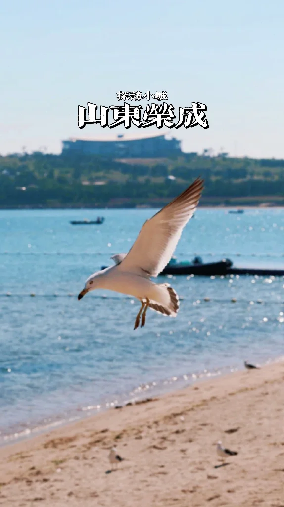 听我说山东荣成真的值得去，附2日游攻略