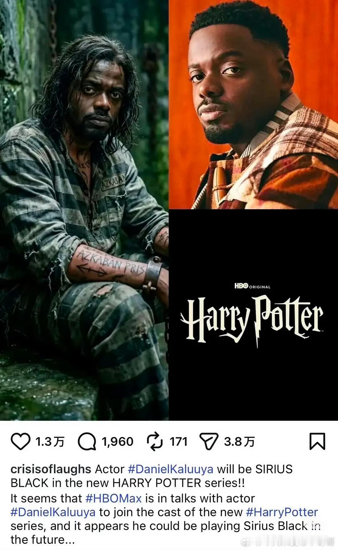 据说这是剧版哈利波特的小天狼星到现在为止这部剧的选角就没有一个是让人满意的，选这
