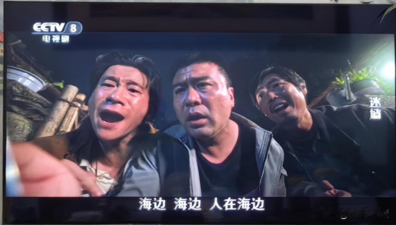 自打505别墅的地下室里又有3000万横空出世，一堵《迷墙》根本盛不下了，感觉这