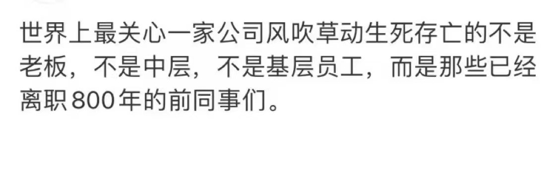#离职800年的同事最关心公司#离职后天天打听前公司黄了没有#镜头下的笑容# ​