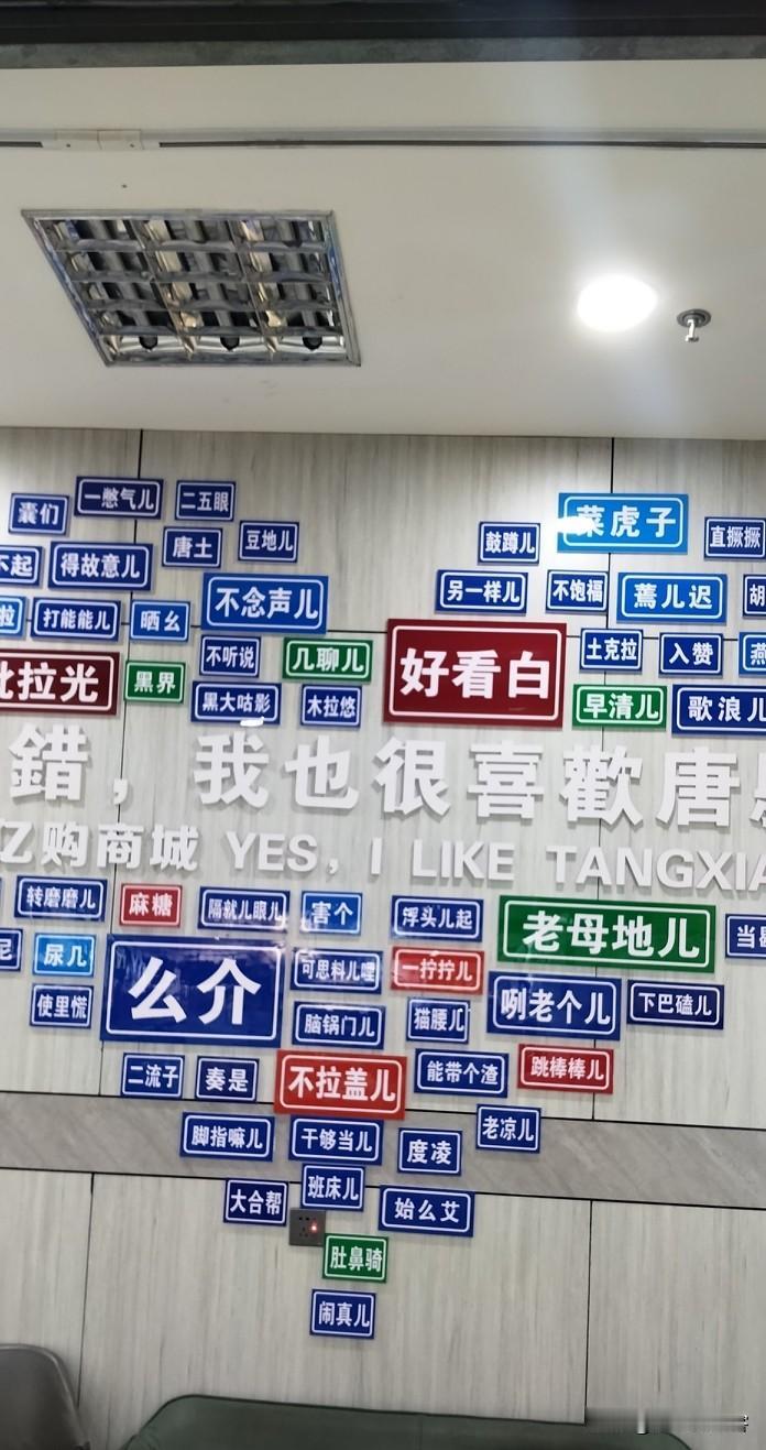 一方水土一方方言！这面趣味方言墙不在桥洞底下，地点是河北保定唐县亿购商城里面，墙
