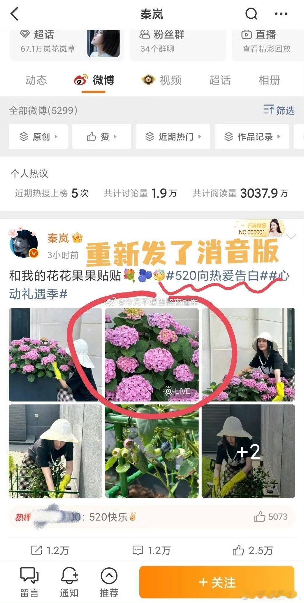 秦岚秒删博秦岚删博重发 秦岚删博重发，啥情况 