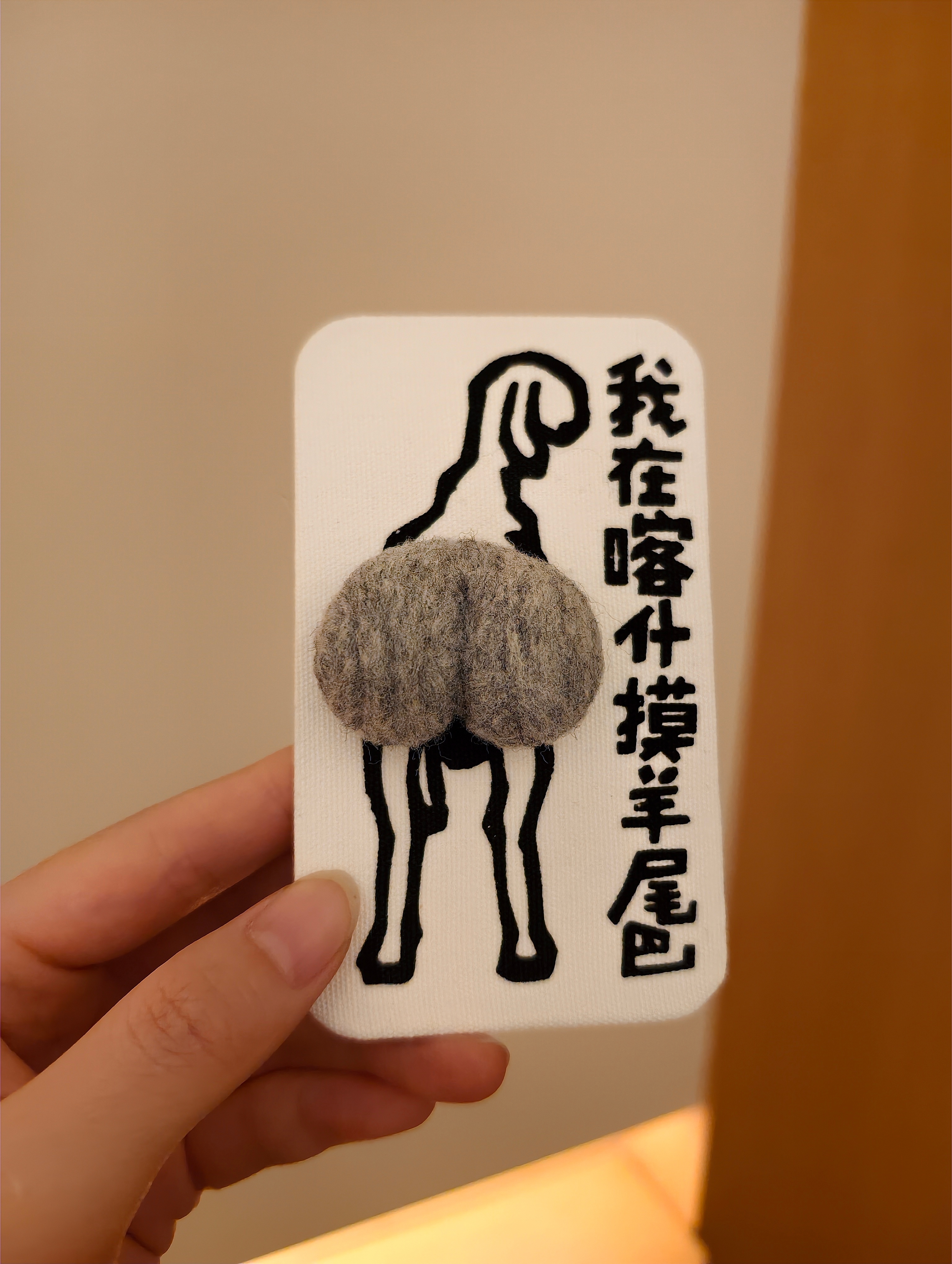 在喀什古城买了冰箱贴当纪念品，是不是超级可爱！羊尾巴QQ弹弹，特别好玩。 喀什