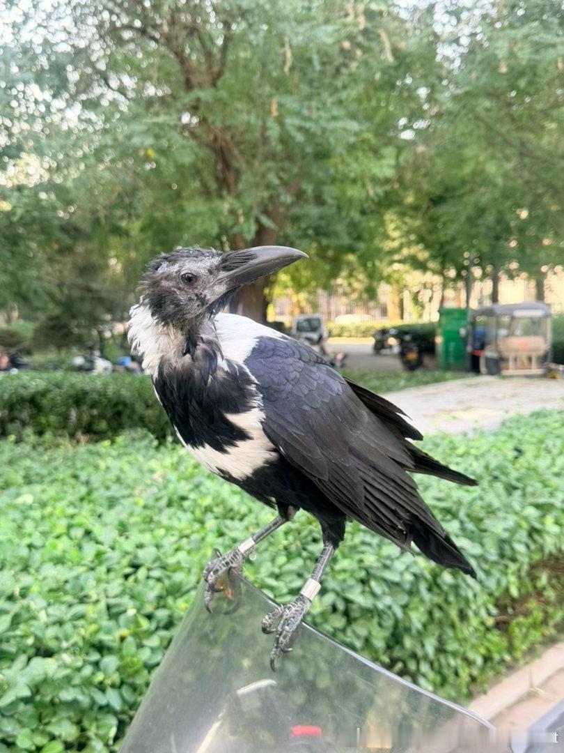 分享图片 ​​​