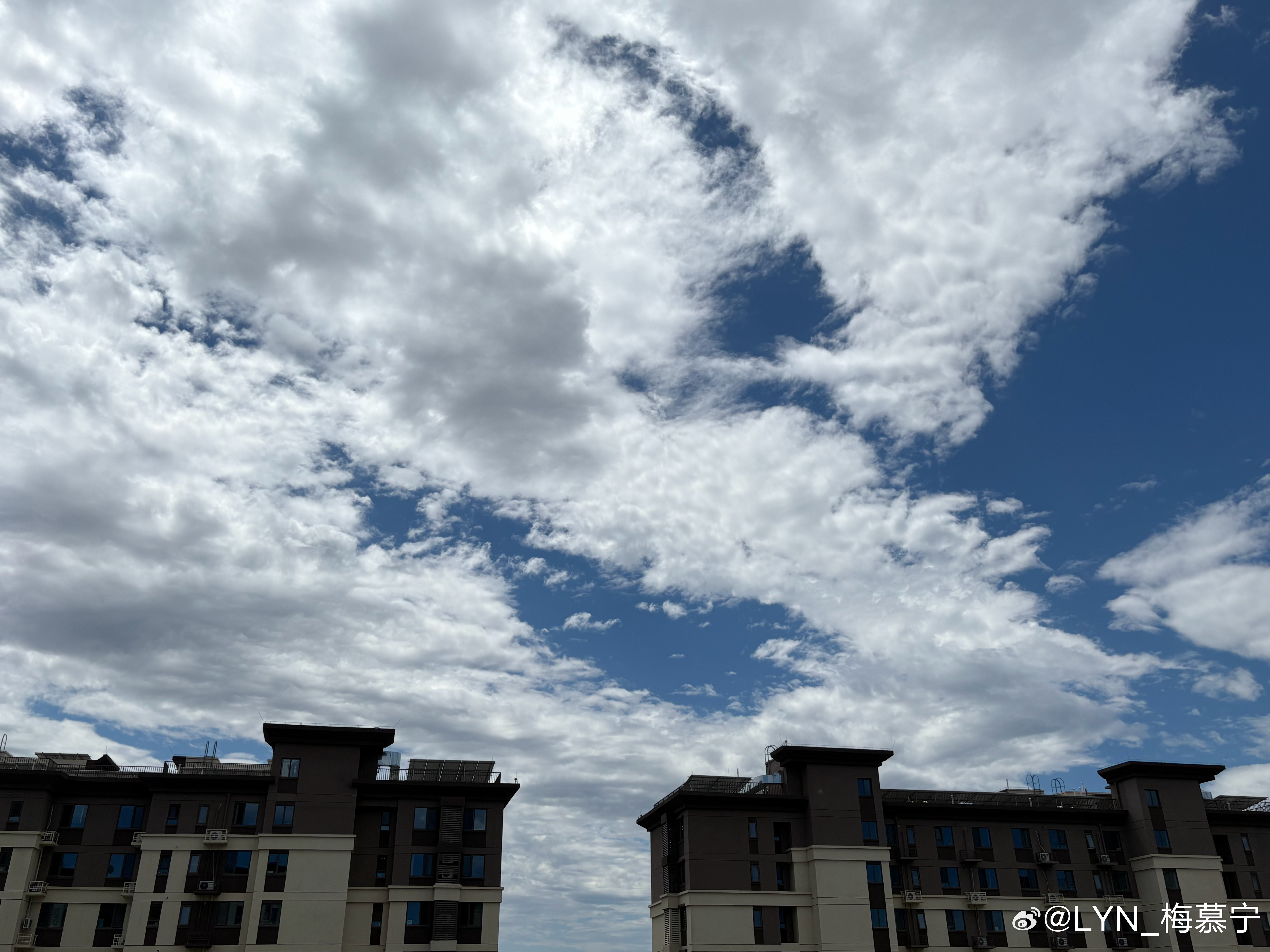 生活手记 昨天的一场大雨，帝都今天一大早还刮了强劲的风，于是终于得见蓝天白云的美