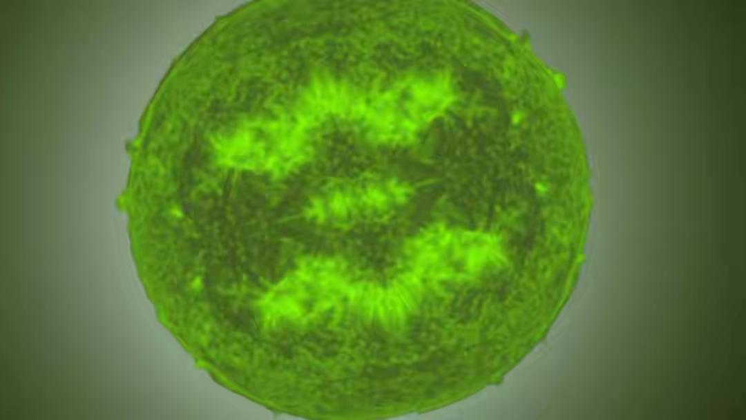 科学家首次发现绿色恒星！没错，绿色的！

熟悉天文学的朋友都知道，恒星有红矮星、