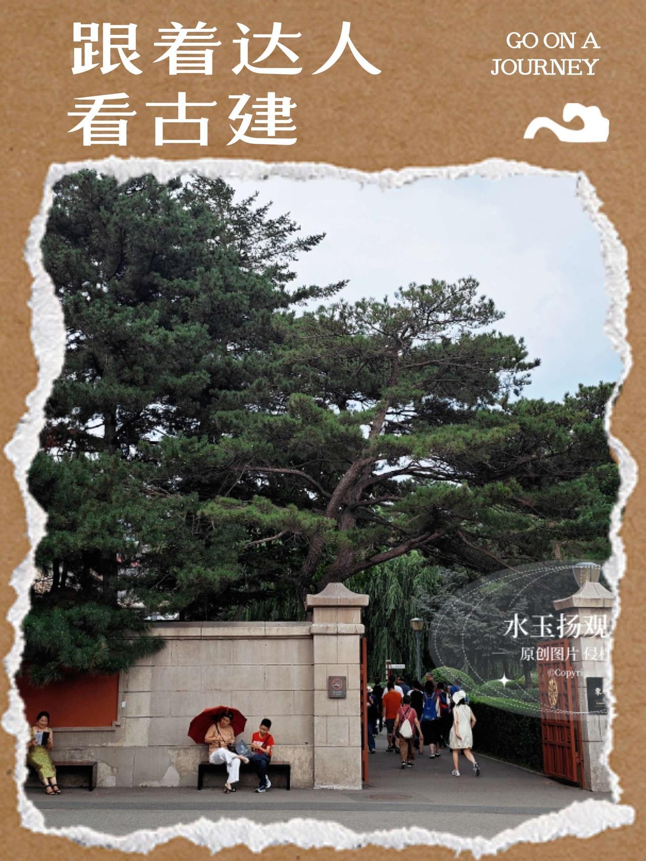这也能开播 暑期出游开播