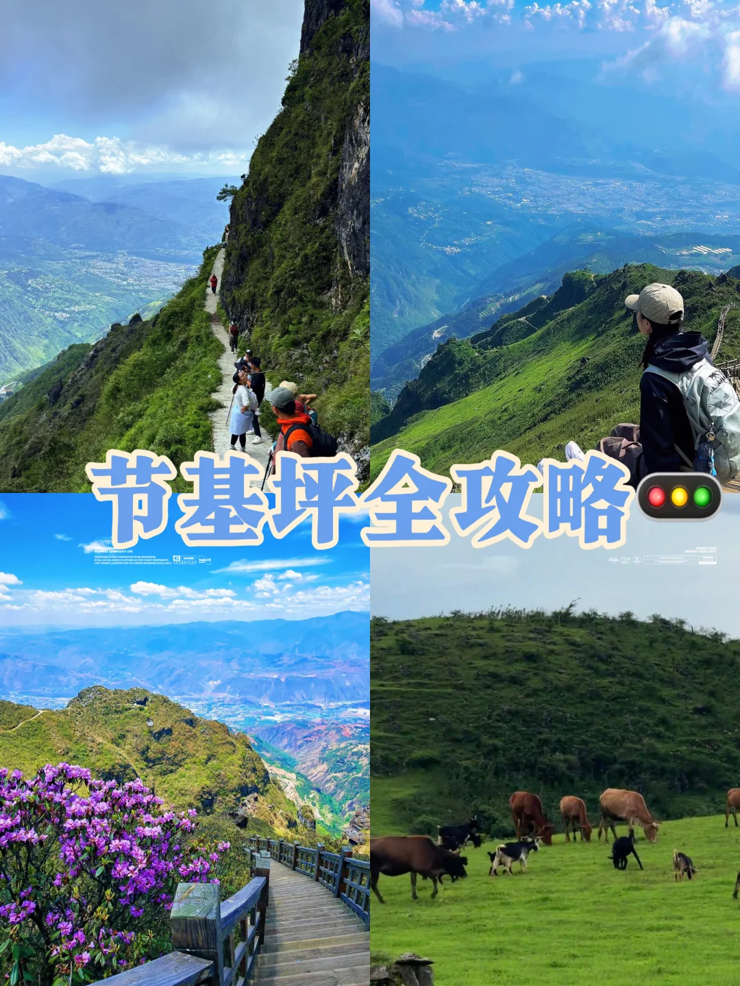 云南版“武功山”‼️正当花开时🌸附详细全攻略