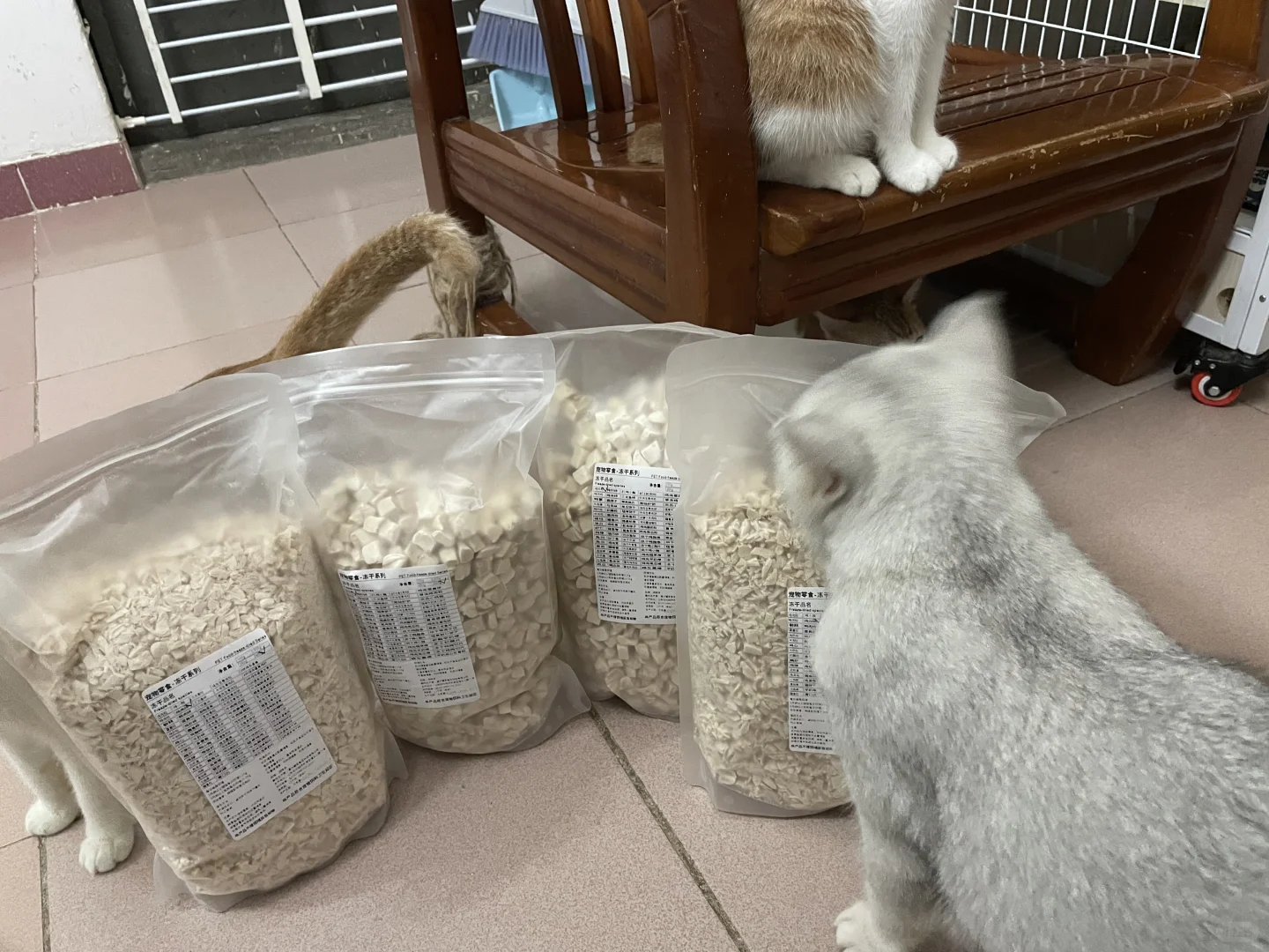 又进货鸡肉动干
