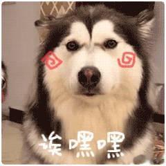 #你买包是考虑实用还是大牌# 买包还是根据自己的个人条件出发，也不用过于追求大牌
