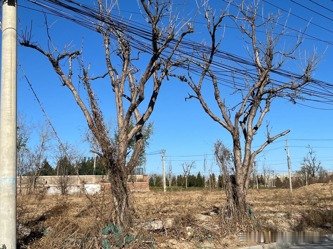 被“心”病困住的她

在北京那家赫赫有名的三甲心脏专科医院，熙熙攘攘的走廊里，我