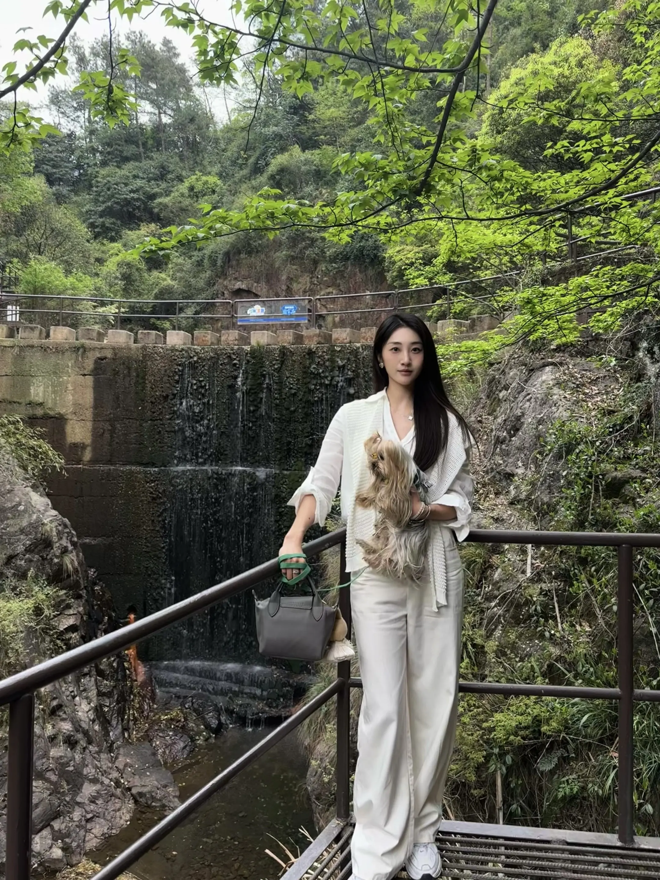 这肆意生长的绿。