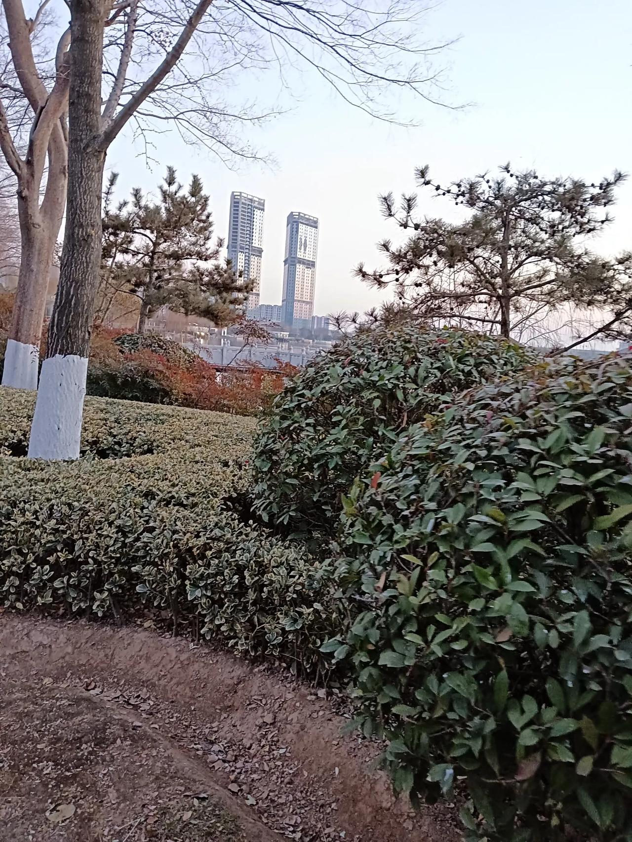 公园里的风景