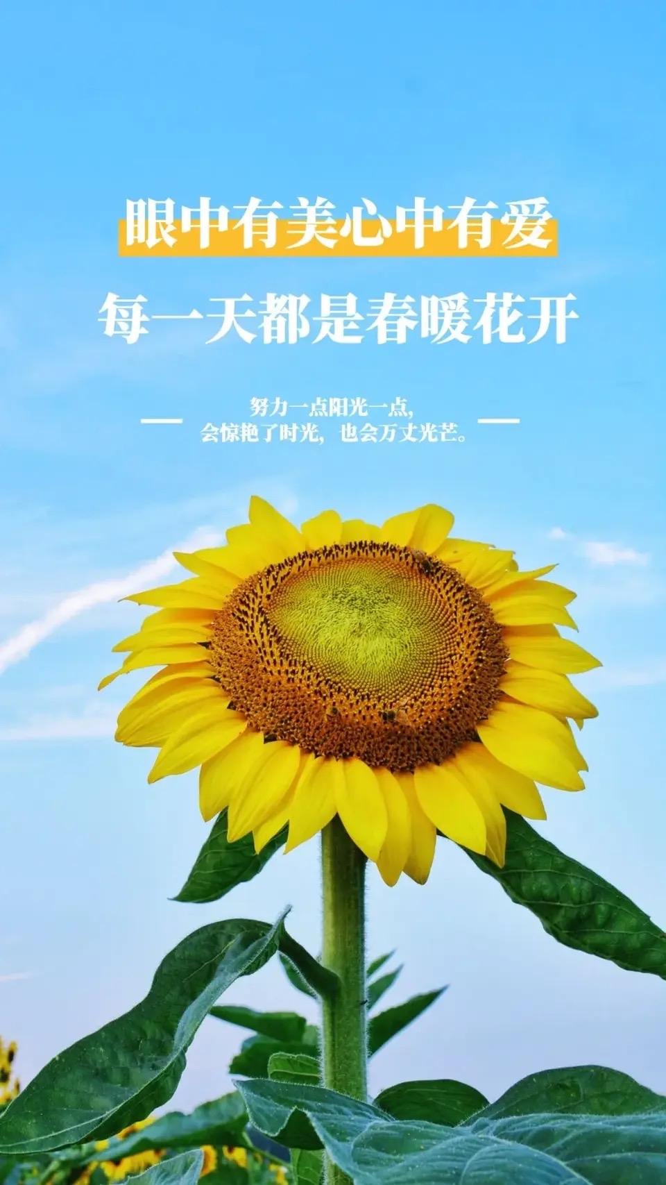 人生有两样东西是人人平等的：就是赤裸裸地来和赤裸裸的去。没有一人例外。

曾经是