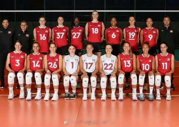 加拿大女排2026世联赛魁北克站14人名单【主攻：格雷，米特罗维奇，霍维，盖森【