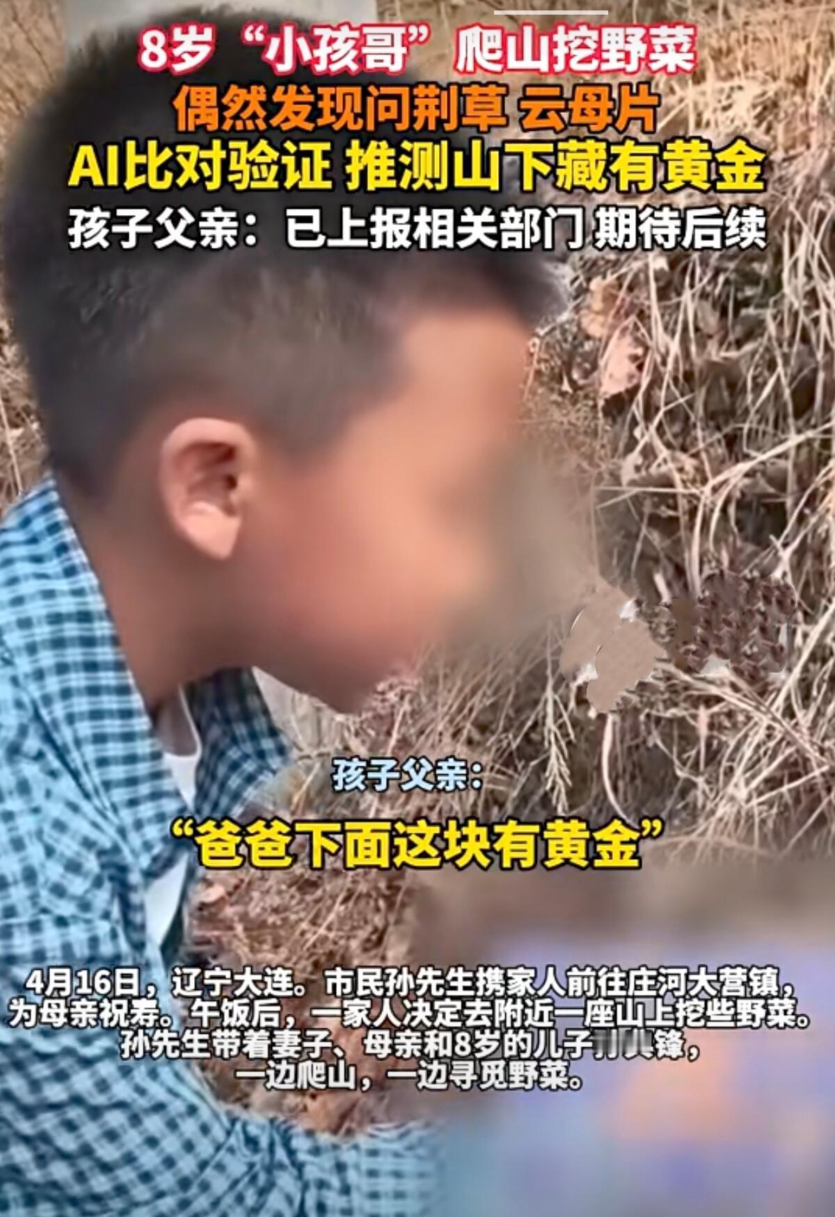 春天真是出门溜达的好时候，很多爸妈都爱带着娃往山里跑，去感受一下野地里的生气。最