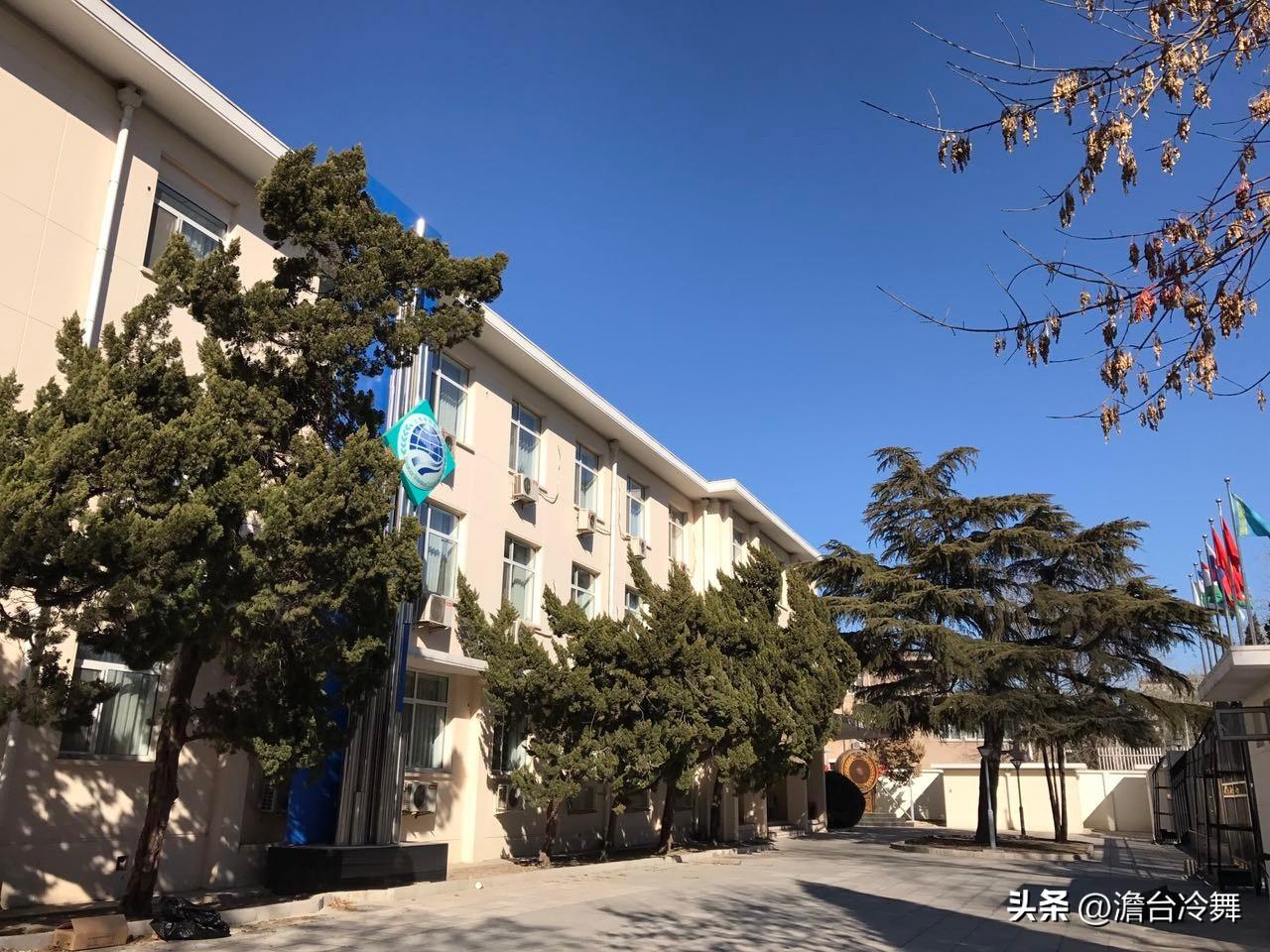 转战民间外交平台，并非退居二线，而是换了个赛道发力。民间外交本就是官方外交的重要