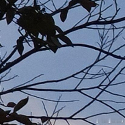 每天务必做一点你所不愿意做的事情。这是一条最宝贵的准则，它可以使你养成认真尽责职