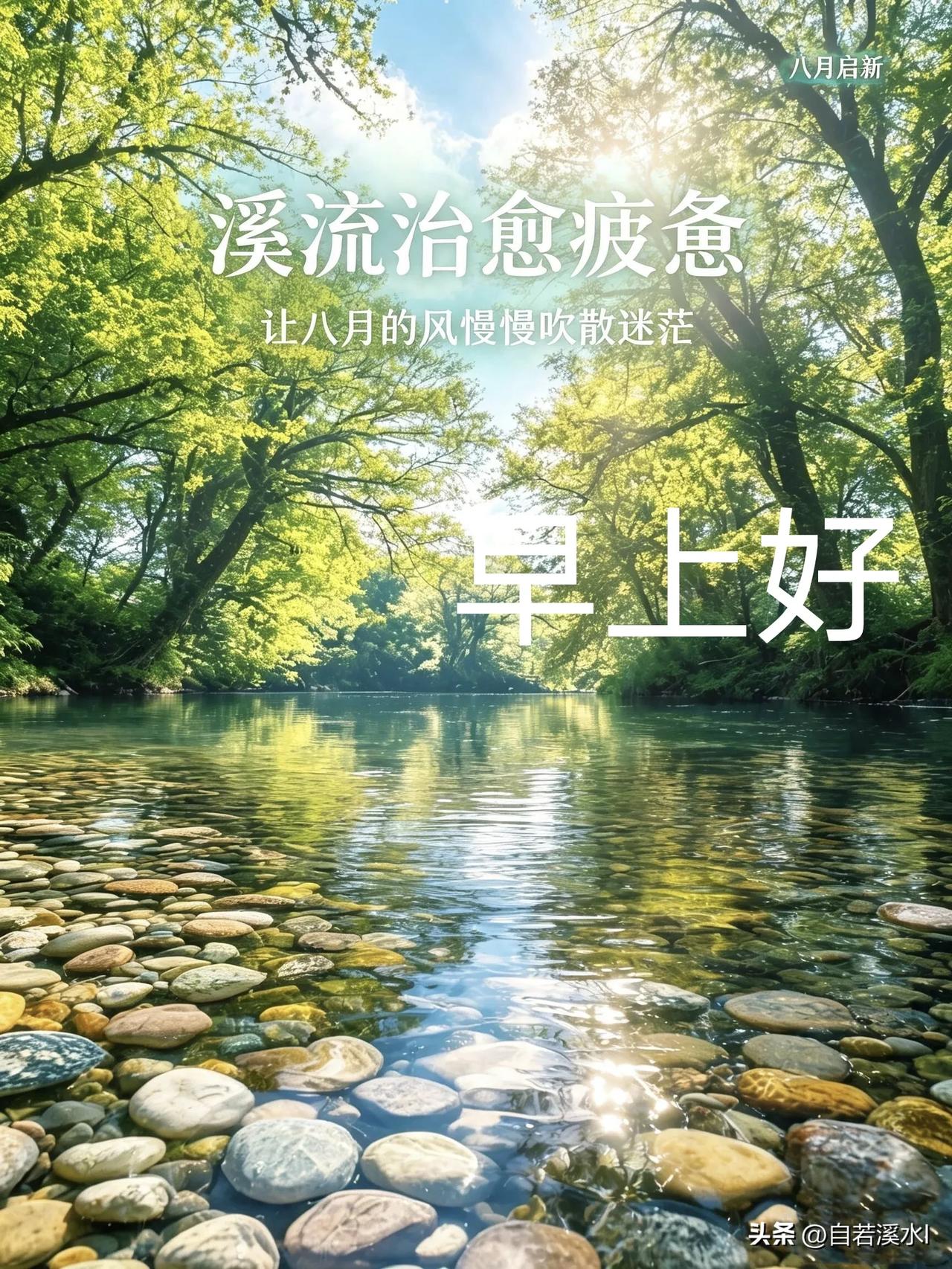 迎着微光开启新一天，心怀暖意，岁岁无忧。