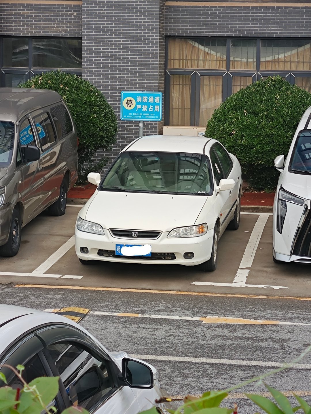 好漂亮的老雅阁。  ​​​