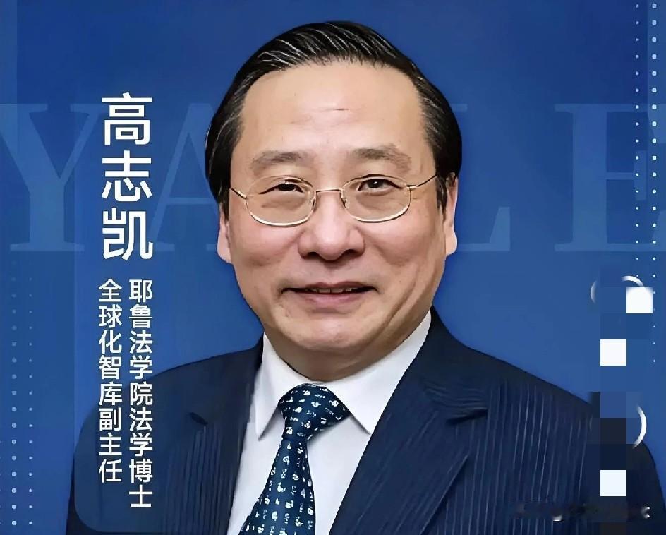 快讯！快讯！
高志凯，耶鲁大学法学博士，20年前从外交部离职，现任全球化智库副主