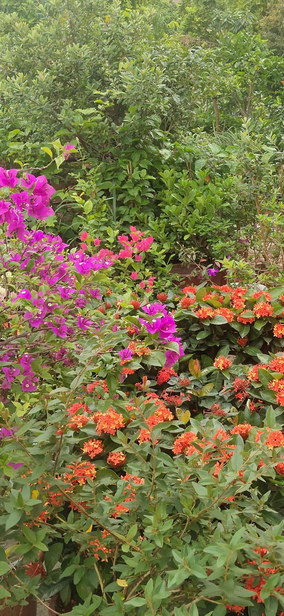 走着走着，突然看到街边有个超美的“花仙子”在摆 pose！一束花就那么俏皮地待在