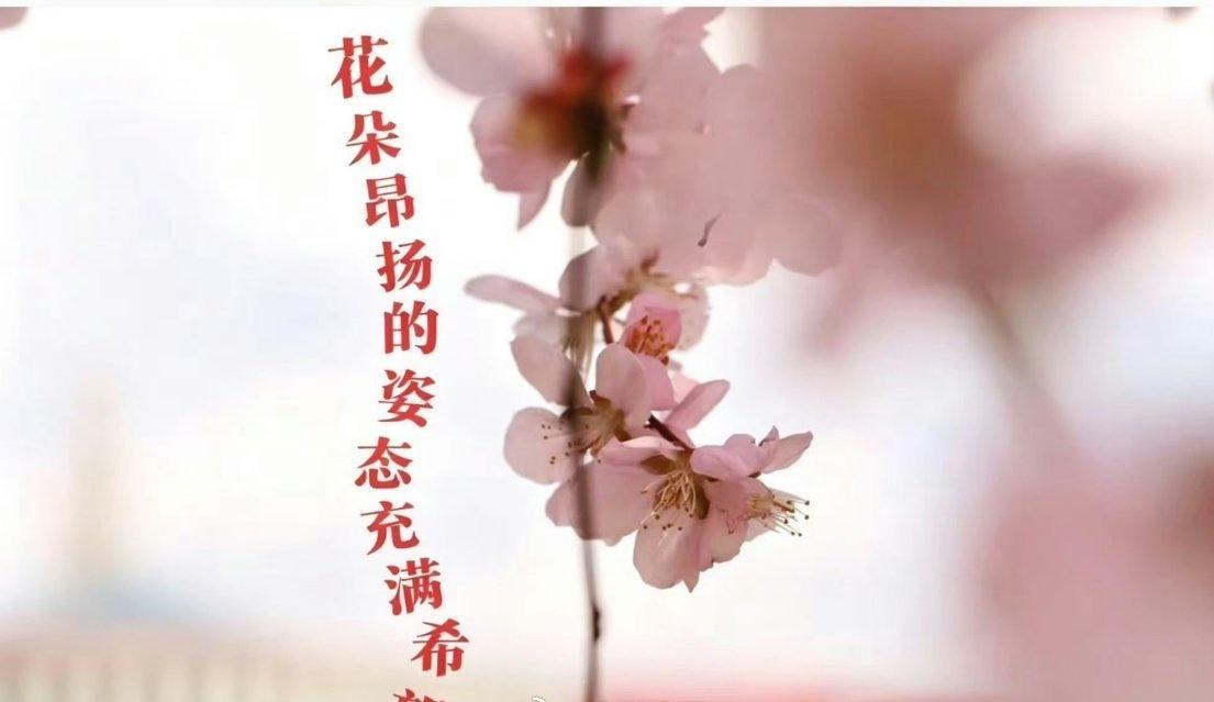 爱着地球的灿烂
via.@兰州大学 ​​​