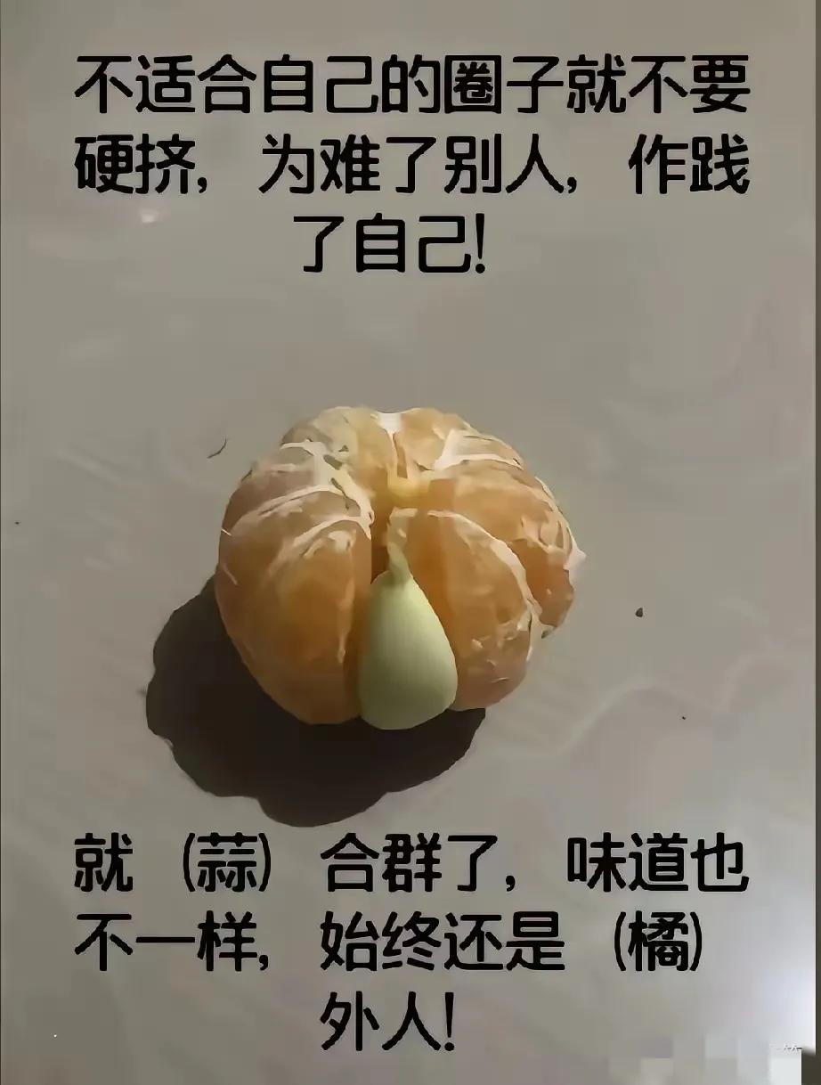 不适合的圈子，挤进去也是外人。
段子