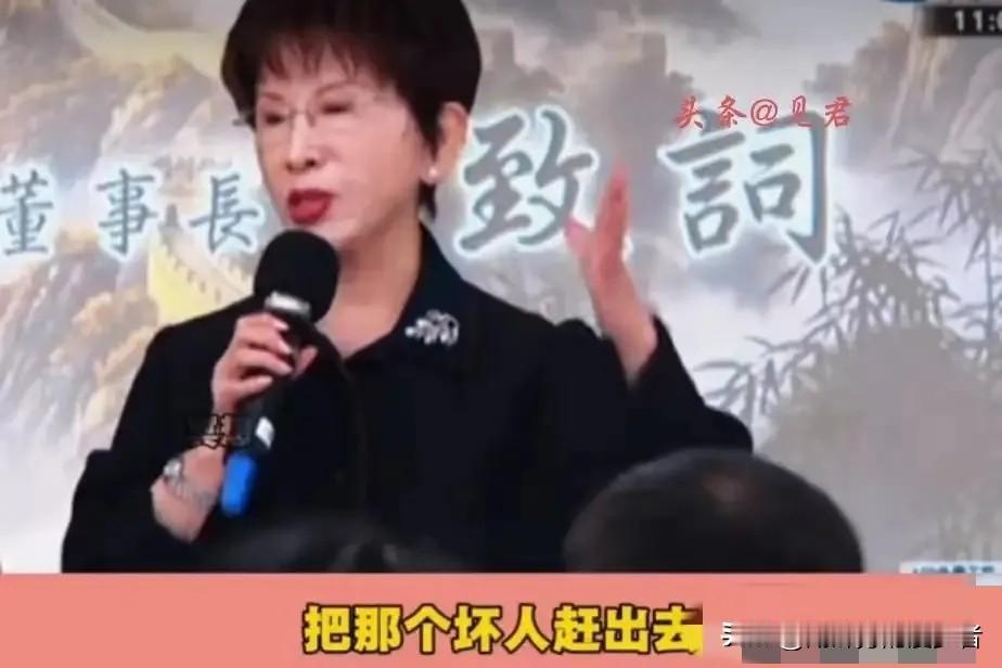 “把那个坏人赶出去！”洪秀柱（5月3日）上午出席侯汉廷新书发布会时直言，“这个人