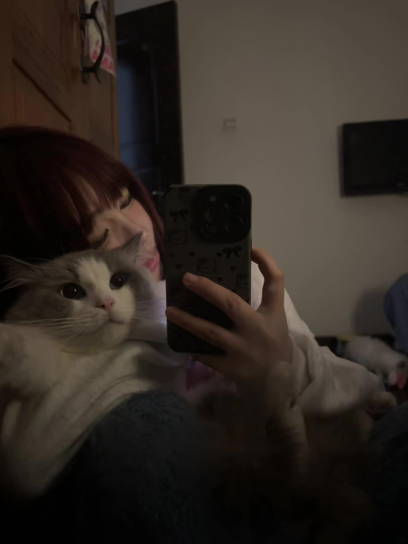 小猫是平淡生活的解药