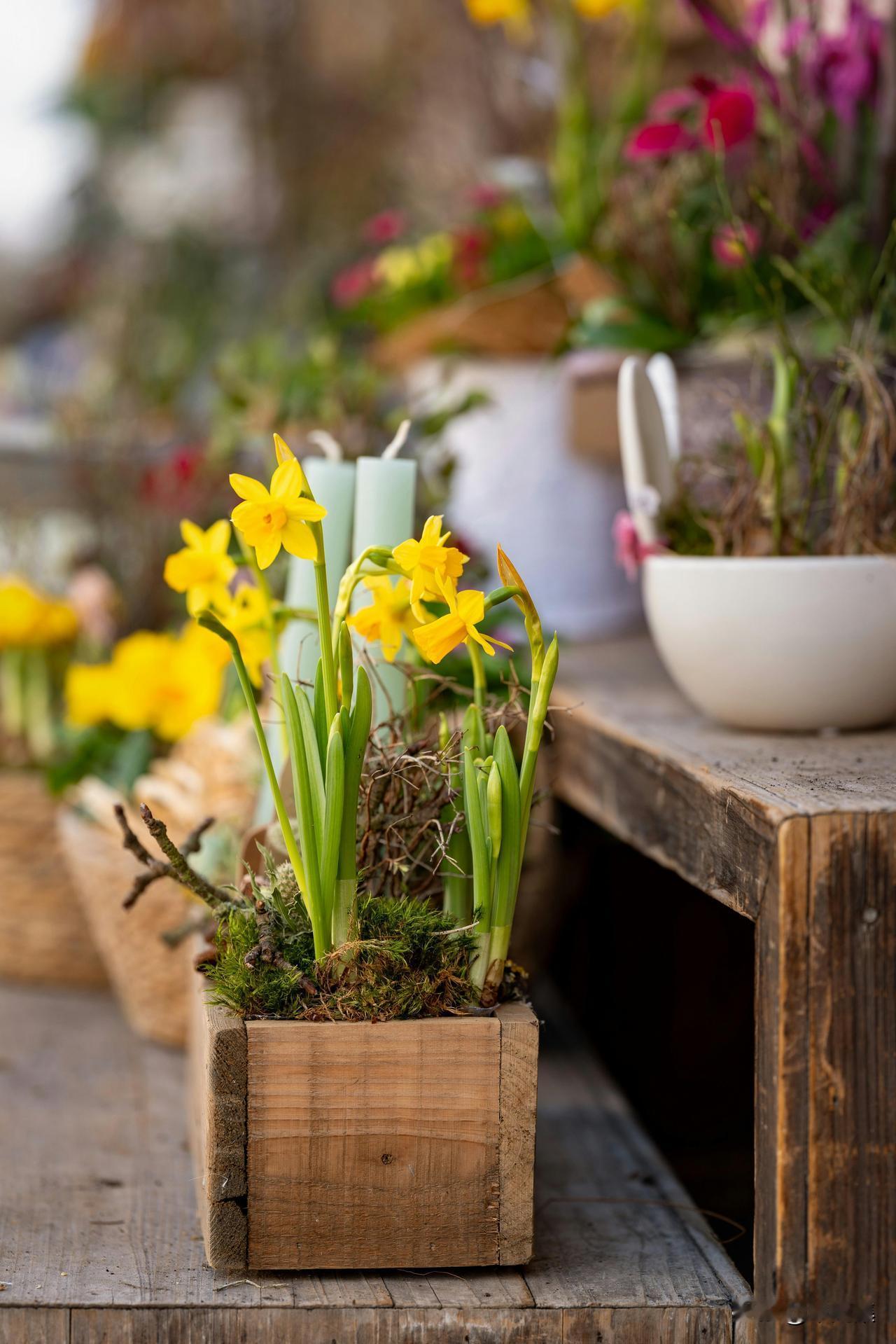 烟花爆竹新国标来了！混装包终于有标准
市场监管总局发布烟花爆竹强制性新国标，明年