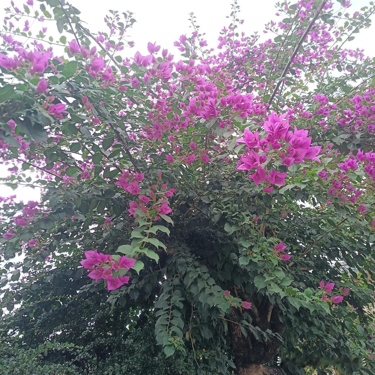 十月，再见！
十一月，你好！
愿大家好运连连，
事事事如意，
工作顺利，
生活愉